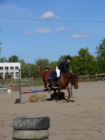 Babie Lato z Hucułami 2015